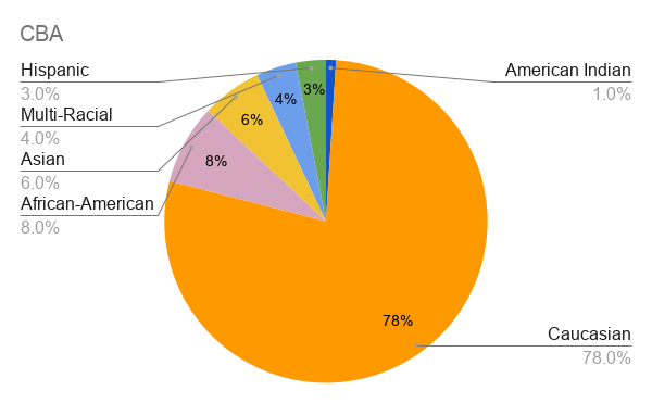 Christian Brothers Academy Diversity Chart