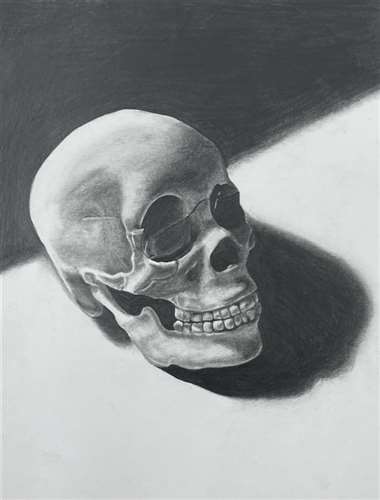 Students Win Scholastic Art Awards image of skull drawing